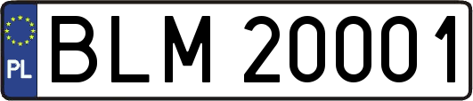 BLM20001