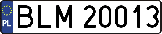 BLM20013