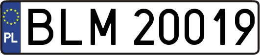 BLM20019