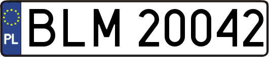 BLM20042