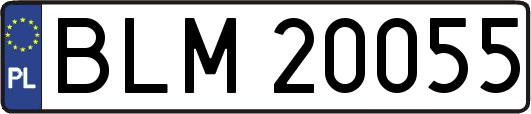 BLM20055