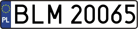 BLM20065