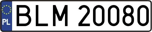 BLM20080