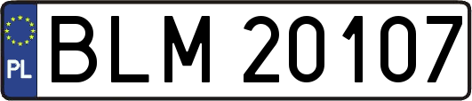 BLM20107