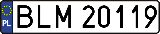 BLM20119