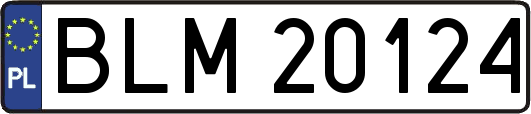 BLM20124
