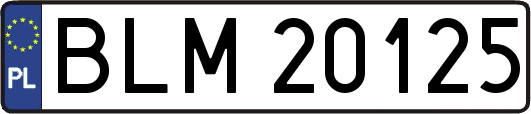 BLM20125