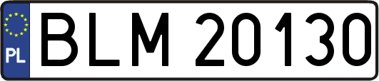 BLM20130