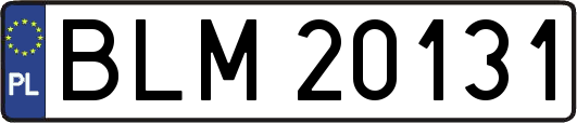 BLM20131