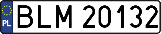 BLM20132