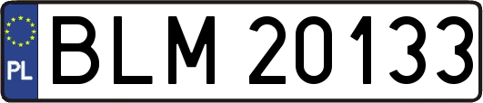 BLM20133