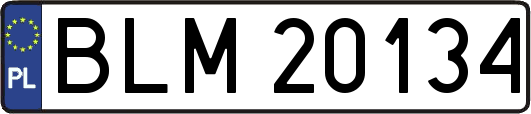 BLM20134