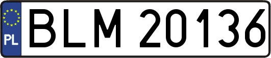 BLM20136