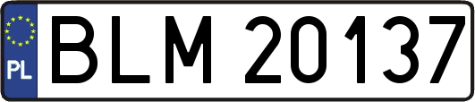 BLM20137