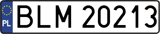 BLM20213
