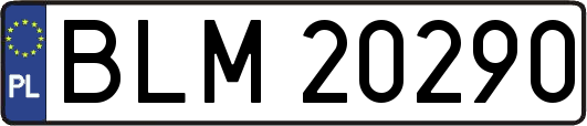 BLM20290