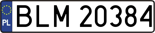 BLM20384