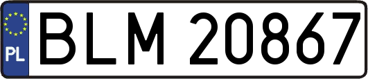 BLM20867