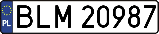 BLM20987