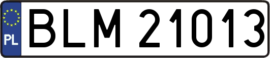 BLM21013