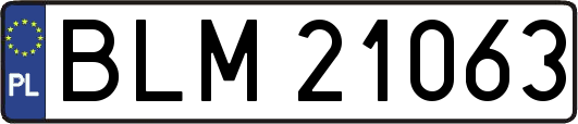 BLM21063
