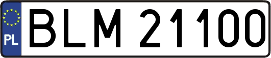 BLM21100