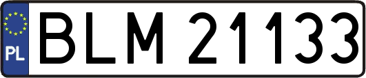 BLM21133