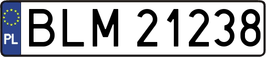 BLM21238