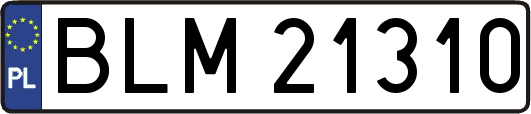 BLM21310