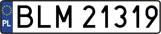 BLM21319