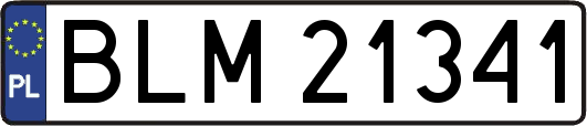 BLM21341