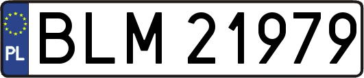 BLM21979