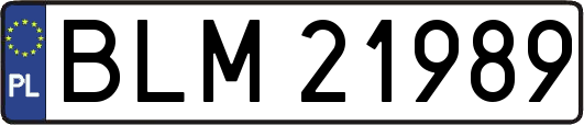 BLM21989