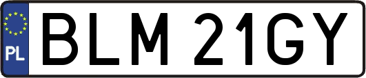 BLM21GY