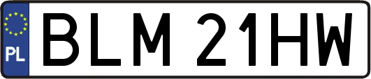BLM21HW