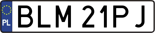 BLM21PJ