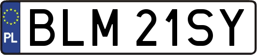 BLM21SY