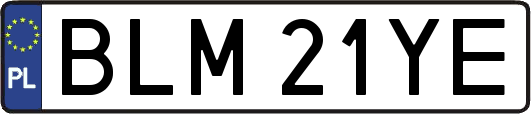 BLM21YE