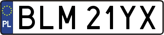 BLM21YX