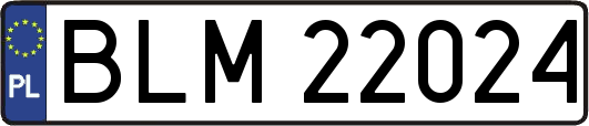 BLM22024