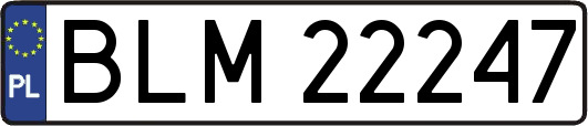 BLM22247