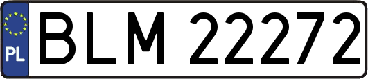 BLM22272