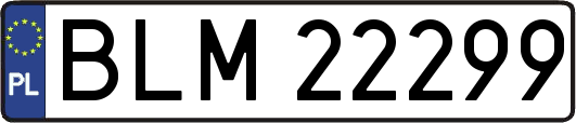 BLM22299
