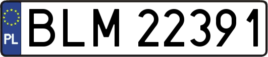 BLM22391
