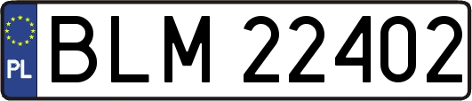 BLM22402