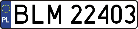 BLM22403