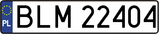 BLM22404