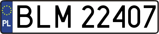BLM22407