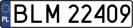 BLM22409