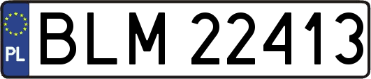 BLM22413